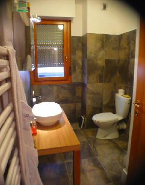 Holiday Apartment in florence (Firenze) or holiday homes and vacation rentals