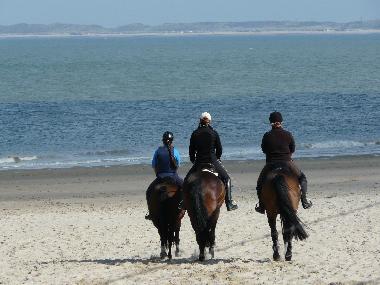 Holiday Apartment in Nieuwvliet  (Zeeland) or holiday homes and vacation rentals