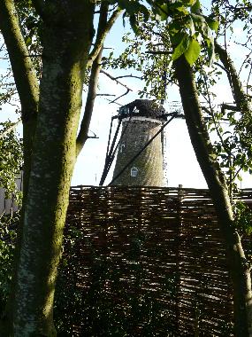 Holiday Apartment in Nieuwvliet  (Zeeland) or holiday homes and vacation rentals