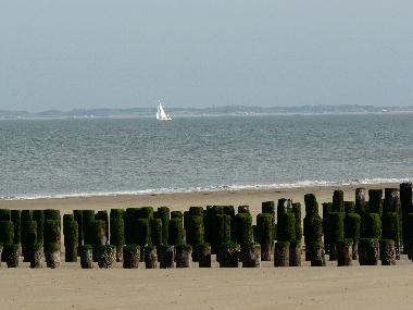 Holiday Apartment in Nieuwvliet  (Zeeland) or holiday homes and vacation rentals