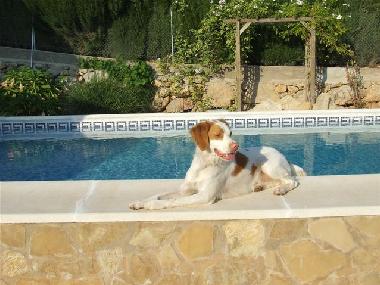 Holiday Apartment in Benaguasil  (Valencia / Val�ncia) or holiday homes and vacation rentals