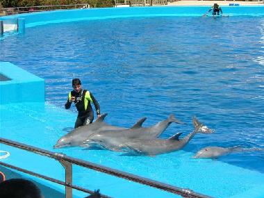 Holiday Apartment in Benaguasil  (Valencia / Val�ncia) or holiday homes and vacation rentals