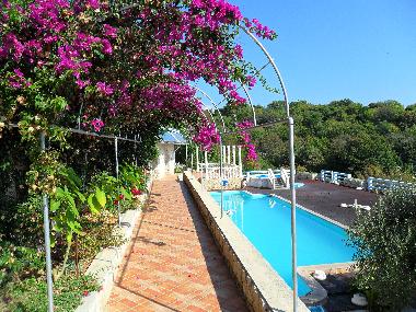 Bed and Breakfast in Lile Pag Novalja  (Licko-Senjska) or holiday homes and vacation rentals