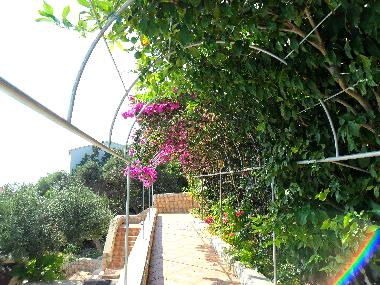 Bed and Breakfast in Lile Pag Novalja  (Licko-Senjska) or holiday homes and vacation rentals