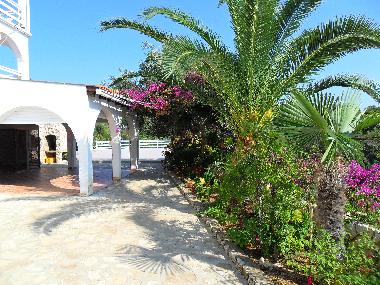 Bed and Breakfast in Lile Pag Novalja  (Licko-Senjska) or holiday homes and vacation rentals