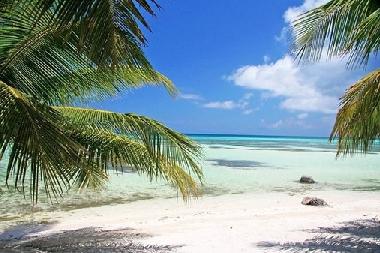 Holiday Apartment in dominicus (La Romana) or holiday homes and vacation rentals