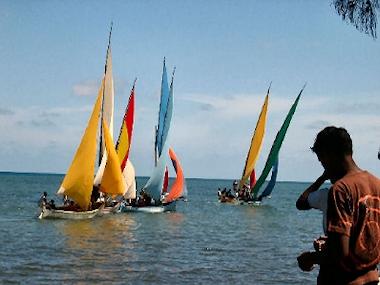 Local Beach Regatta