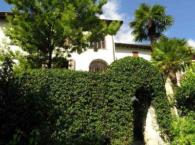 Holiday House in Mezzegra (Como) or holiday homes and vacation rentals
