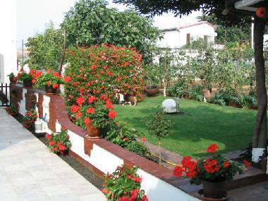 Holiday Apartment in Fazana (Istarska) or holiday homes and vacation rentals