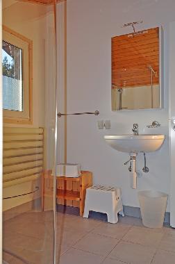 Chalet in Fiesch (Aletsch) or holiday homes and vacation rentals