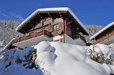 Holiday Apartment in Fiesch (Aletsch) or holiday homes and vacation rentals