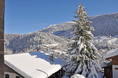 Holiday Apartment in Fiesch (Aletsch) or holiday homes and vacation rentals