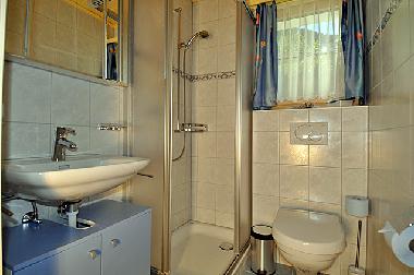 Holiday Apartment in Fiesch (Aletsch) or holiday homes and vacation rentals