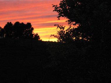 Sunset on Misty Dreams Farm