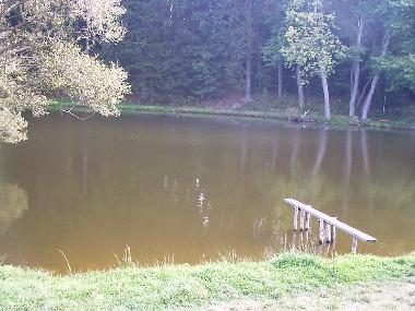Holiday House in Konstantinovy Lazne (Plzensky Kraj) or holiday homes and vacation rentals