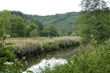 Holiday Apartment in Paliseul (Wallonia) or holiday homes and vacation rentals