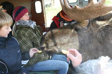 Holiday House in Sk�fshult/VIMMERBY (Smaland) or holiday homes and vacation rentals