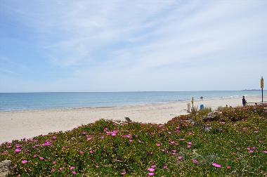 Holiday Apartment in La Manga del Mar Menor (Murcia) or holiday homes and vacation rentals