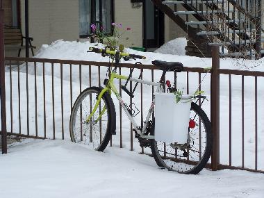 Holiday Apartment in Montreal (Quebec) or holiday homes and vacation rentals
