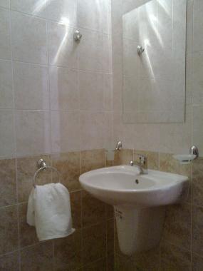 Contemporary shower room