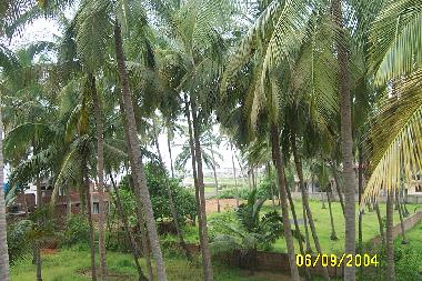 Holiday House in Morgim Beach,North Goa (Goa) or holiday homes and vacation rentals