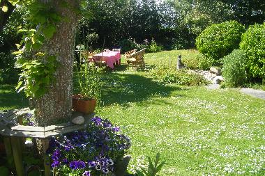 tuin