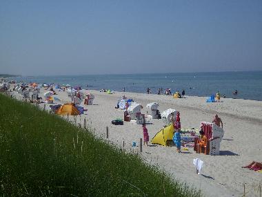 Holiday Apartment in Dierhagen (Fischland-Dar-Zingst) or holiday homes and vacation rentals