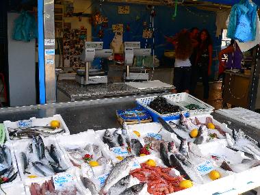 Holiday Apartment in Roma (Rome) or holiday homes and vacation rentals