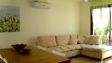 dining room from the Japanese door