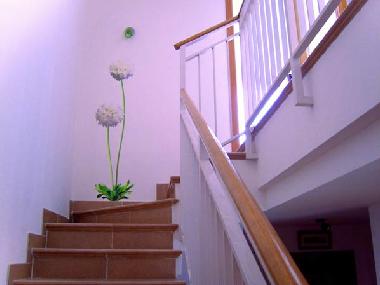 stairs to bedrooms