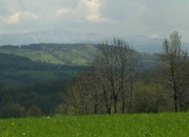 Villa in Stryszow near Krakow (Malopolskie) or holiday homes and vacation rentals