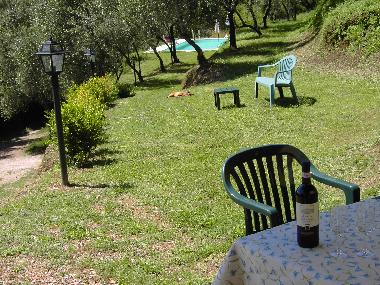 Park and swimming pool