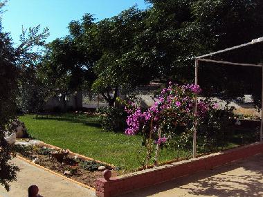 Holiday Apartment in Privlaka-Zadar (Zadarska) or holiday homes and vacation rentals