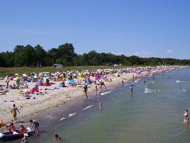 Holiday Apartment in Ostseebad Boltenhagen (Mecklenburgische Ostseek�ste) or holiday homes and vacation rentals