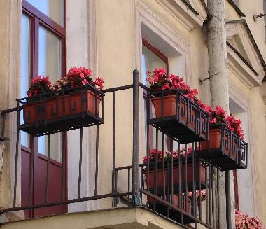 Bed and Breakfast in St. Petersburg (Sankt-Peterburg) or holiday homes and vacation rentals