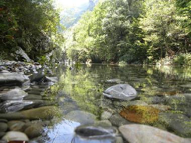 Holiday Apartment in Marina di Camerota (Salerno) or holiday homes and vacation rentals