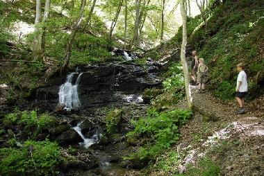 Bed and Breakfast in Morbach-Wederath (Hunsrck - Nahe) or holiday homes and vacation rentals