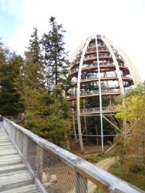 Holiday Apartment in Waldmnchen (Upper Palatinate) or holiday homes and vacation rentals