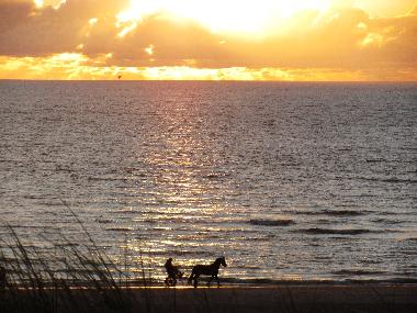 Holiday Apartment in Egmond aan Zee (Noord-Holland) or holiday homes and vacation rentals