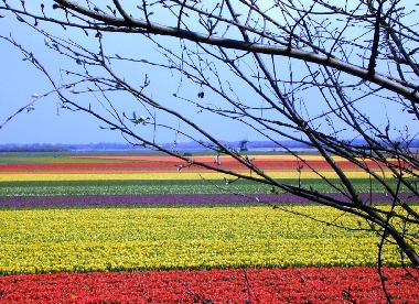 Holiday Apartment in Egmond aan Zee (Noord-Holland) or holiday homes and vacation rentals