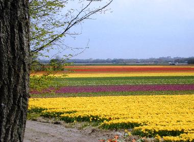 Holiday Apartment in Egmond aan Zee (Noord-Holland) or holiday homes and vacation rentals