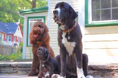 Holiday House in Woodstock (New York) or holiday homes and vacation rentals