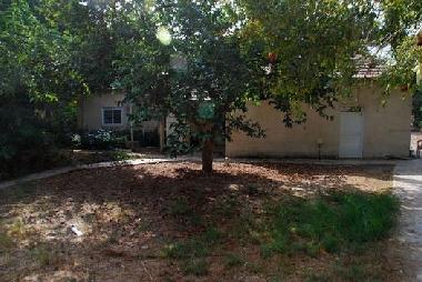 Holiday Apartment in Mikhmoret (Tel Aviv) or holiday homes and vacation rentals