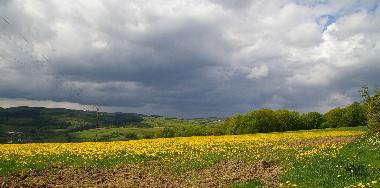 Holiday House in Montpensy (Nivre) or holiday homes and vacation rentals