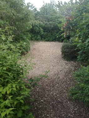 The Boule court in the garden. Boules provided