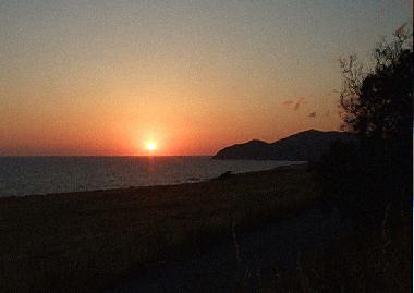 WELCOME TO PARADISE!