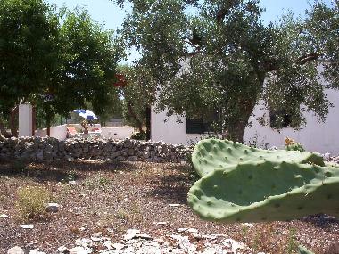 Holiday House in Leuca (Lecce) or holiday homes and vacation rentals