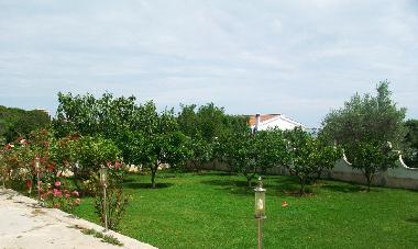 Holiday House in Ulcinj (Montenegro) or holiday homes and vacation rentals