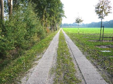 Holiday Apartment in Westerstede (Ammerland) or holiday homes and vacation rentals
