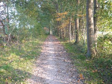 Holiday Apartment in Westerstede (Ammerland) or holiday homes and vacation rentals